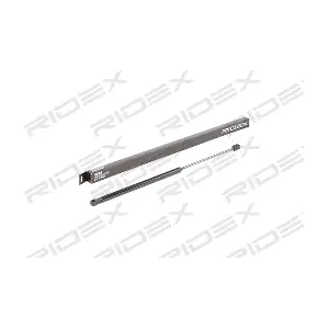 219G0867 RIDEX
