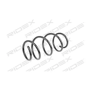 188C0483 RIDEX