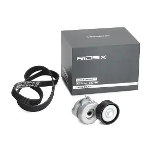 542R0172 RIDEX