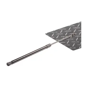219G0010 RIDEX