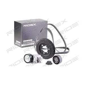 542R0663 RIDEX