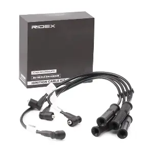 685I0021 RIDEX