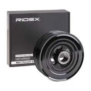 3213B0101 RIDEX