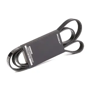 305P0171 RIDEX