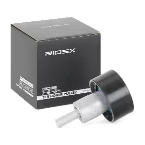 313D0152 RIDEX
