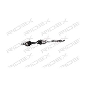 13D0303 RIDEX