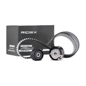 307T0060 RIDEX