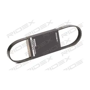 305P0401 RIDEX