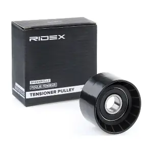 310T0098 RIDEX