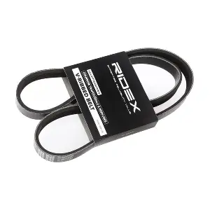 305P0296 RIDEX