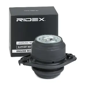 247E0286 RIDEX