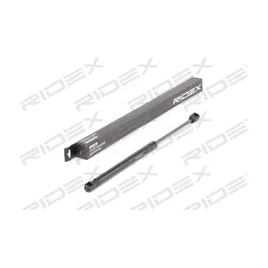 219G0887 RIDEX