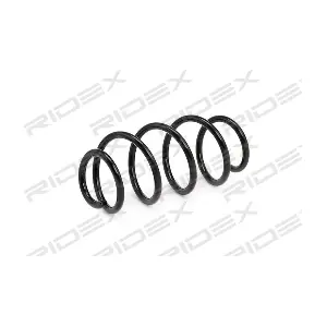 188C0399 RIDEX
