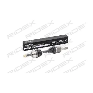 13D0203 RIDEX