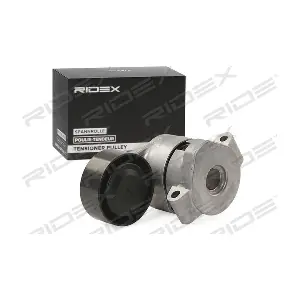 310T0289 RIDEX