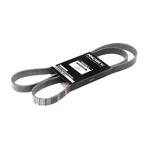 305P0250 RIDEX