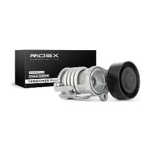 310T0057 RIDEX