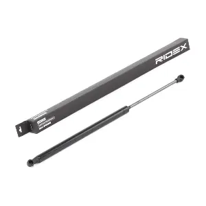 514G0066 RIDEX