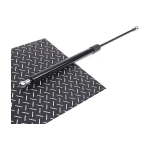 219G0600 RIDEX