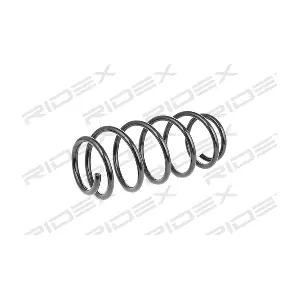 188C0039 RIDEX