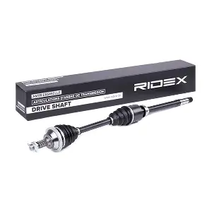 13D0253 RIDEX