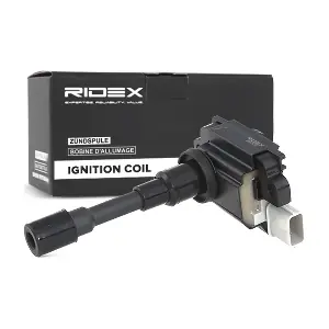 689C0039 RIDEX