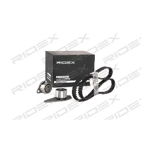 307T0079 RIDEX