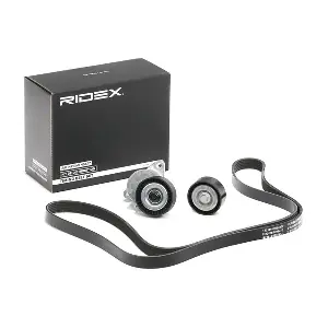 542R0076 RIDEX