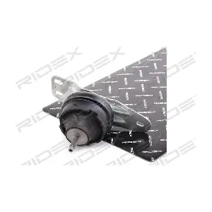 247E0494 RIDEX
