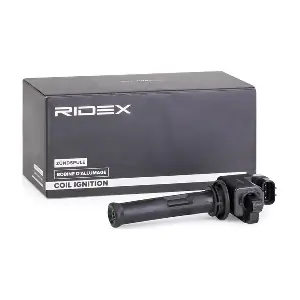 689C0052 RIDEX