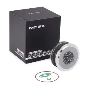 4973C0169 RIDEX