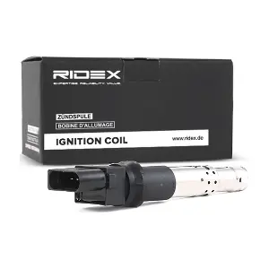 689C0023 RIDEX