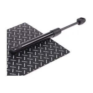 219G0138 RIDEX