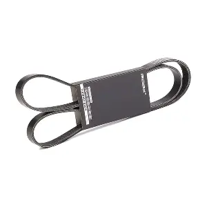 305P0067 RIDEX
