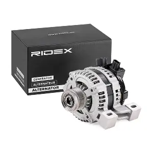 4G0067 RIDEX