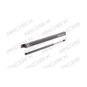219G0607 RIDEX