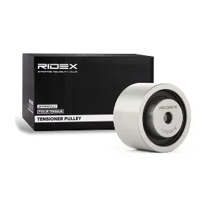 313D0011 RIDEX