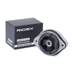 249M0171 RIDEX