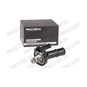 316T0250 RIDEX