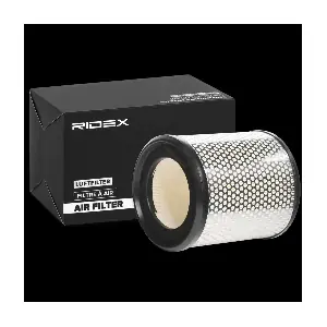 8A0495 RIDEX