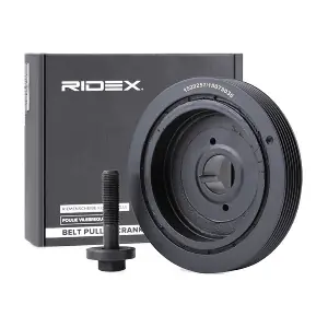 3213B0148 RIDEX