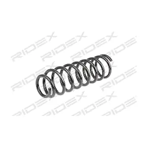 188C0134 RIDEX