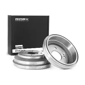 123B0055 RIDEX