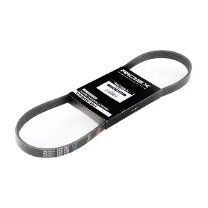 305P0028 RIDEX