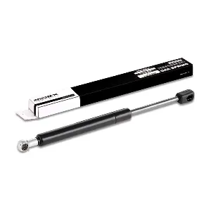 219G0080 RIDEX
