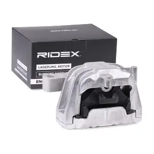247E0269 RIDEX