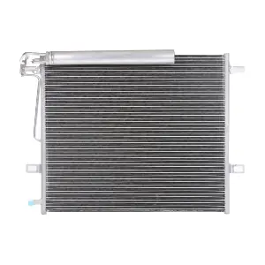 448C0096 RIDEX