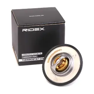 316T0078 RIDEX