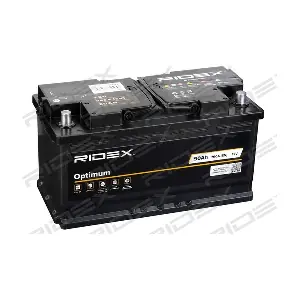 1S0043 RIDEX