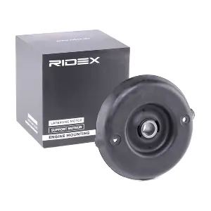 1180S0091 RIDEX